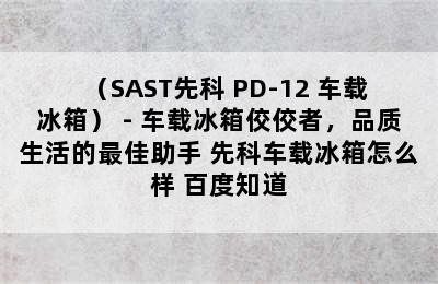 （SAST先科 PD-12 车载冰箱） - 车载冰箱佼佼者，品质生活的最佳助手 先科车载冰箱怎么样 百度知道